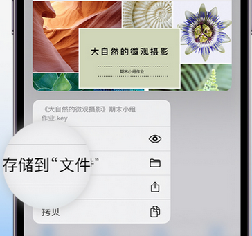 平利apple维修中心分享iPhone文件应用中存储和找到下载文件