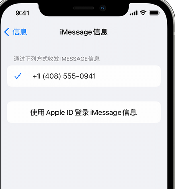 平利apple维修iPhone上无法正常发送iMessage信息 