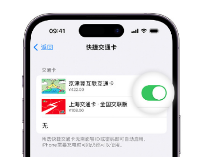 平利apple维修点分享iPhone上更换Apple Pay快捷交通卡手绘卡面 