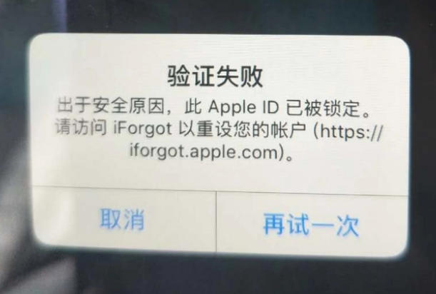 平利iPhone维修分享iPhone上正常登录或使用AppleID怎么办 