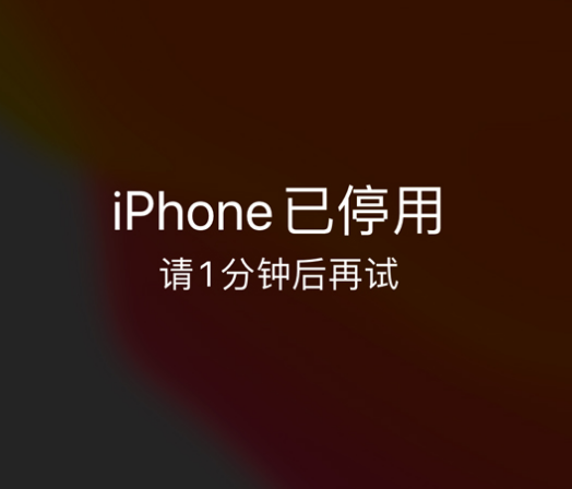 平利苹果手机维修分享:iPhone 显示“不可用”或“已停用”怎么办？还能保留数据吗？ 