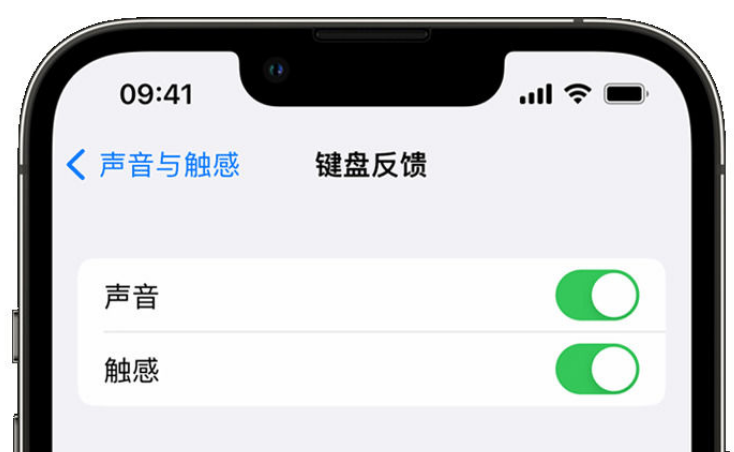 平利苹果手机维修分享iPhone 14触感键盘使用方法 