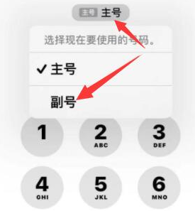 平利苹果14维修店分享iPhone 14 Pro Max使用副卡打电话的方法 