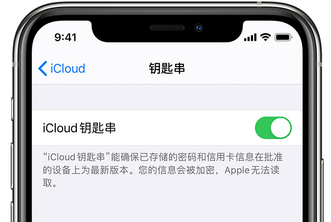 平利苹果手机维修分享在 iPhone 上开启 iCloud 钥匙串之后会储存哪些信息 