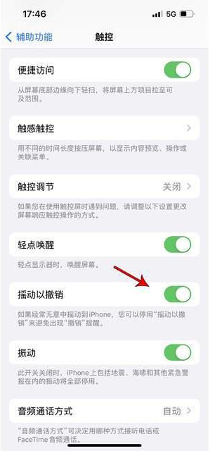 平利苹果手机维修分享iPhone手机如何设置摇一摇删除文字 